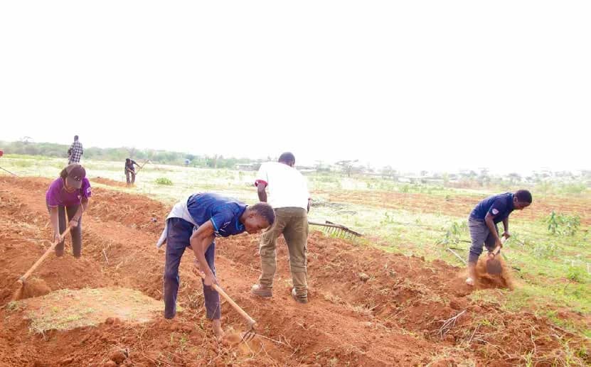 Affecto Growth Circle members working together on a farm